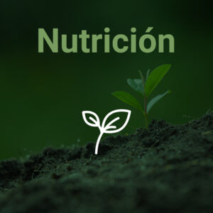 NUTRICIÓN