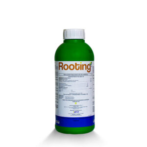 ROOTING 1L